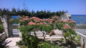 DOMUS AUSTRI Messina